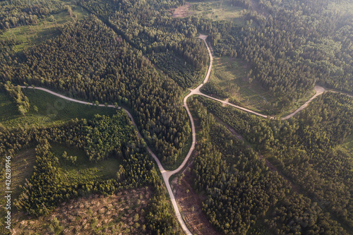 Winding roads and crossroads in the forest. Captured from above.