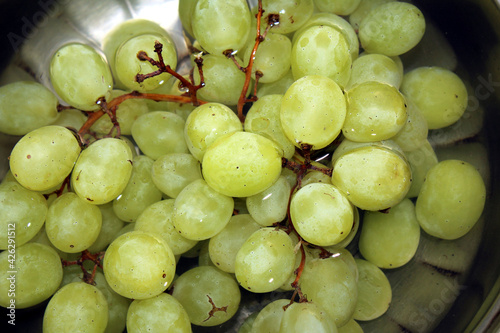 green sweet grapes in water