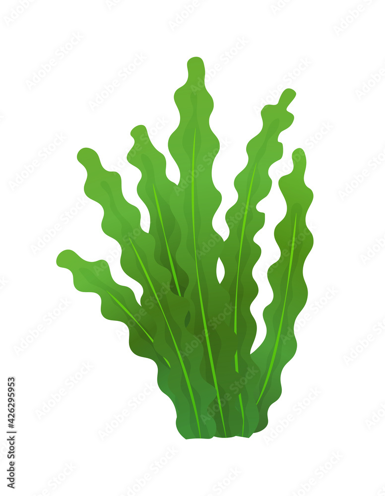 Grass or bushes. Green realistic spring grass. Fresh plants, garden botanical greens, herbs and leaves isolated on white. Natural lawn meadow bushes, floral vegetation Grass or bushes. Green realistic spring grass. Fresh plants, garden botanical greens, herbs and leaves isolated on white. Natural lawn meadow bushes, floral vegetation