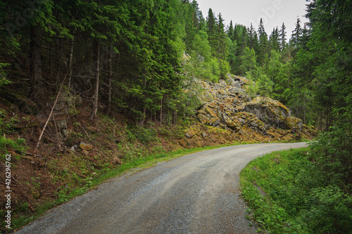 Picturesque Norway forest h...