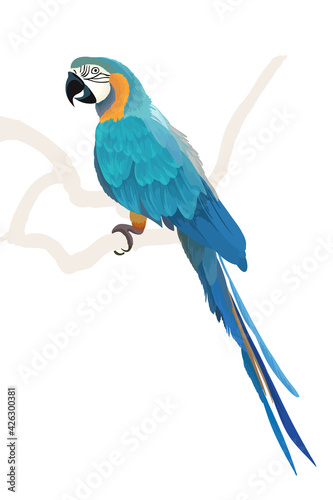 Blue macaw parrot vector illustration. Exotic tropical bird.