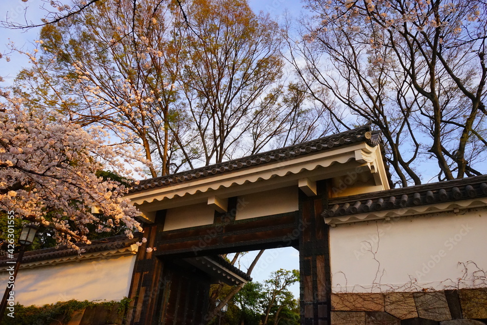 Tokyo, Japan - March 2021: Tayasu gate (Tayasu-mon) with cherry blossom during spring in Tokyo, Japan - 田安門 桜 東京 日本