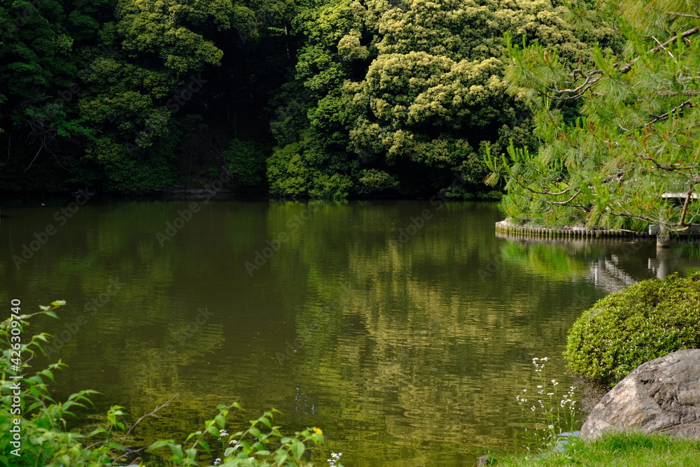 Japanese green park Japanese green park