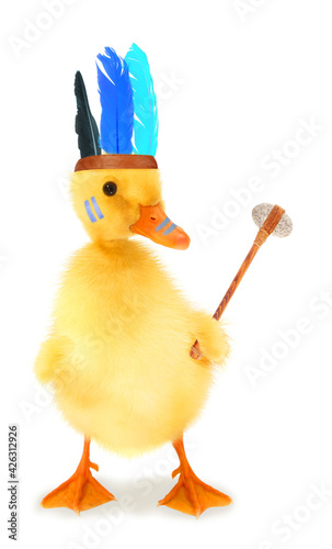 Cute duckling Indian chief duck with tomahawk axe funny conceptual photo photo