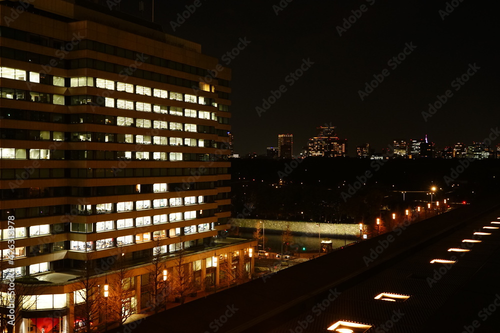 Night view of Tokyo, Japan. Image of business district. - 東京の夜景 日本