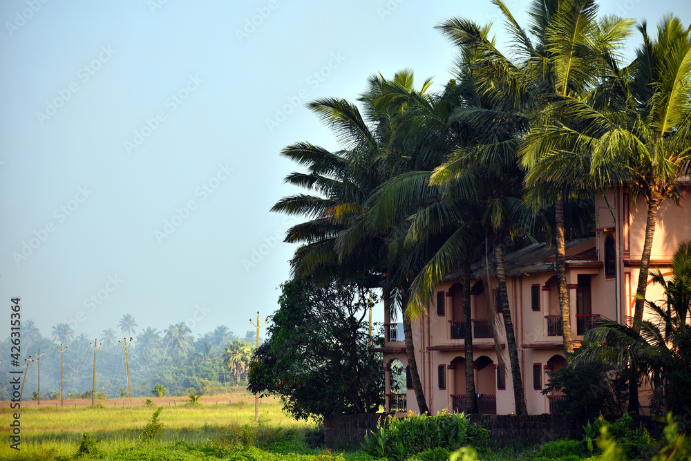 Fototapeta premium old house in the village