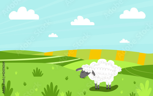 white lamb chews grass on a green meadow. Panaram background with animal. Bright cartoon illustration. Background for the design of packaging  covers  cards. Vector illustration  flat