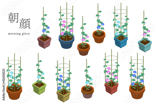 朝顔の鉢植えのベクターイラスト（丸鉢・角鉢・1本支柱・4本支柱）
