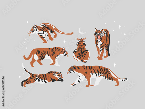Hand drawn vector abstract stock graphic illustration collection set with beauty cute celestial trendy wildlife tigers,moon and stars isolated on white background.Magic Boho clipart elements