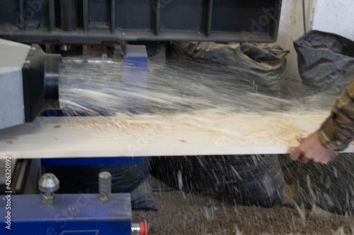 Carpenter in the carpentry in action