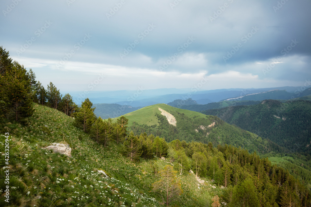 landscape with green flowering meadows, coniferous forest and mountain peaks, cloudy sky with clouds in the background