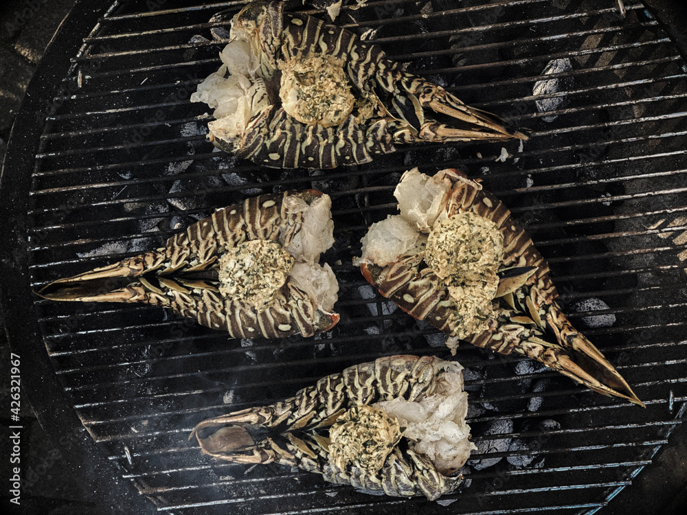 Spiny lobsters cooked and grilled on a barbecue grill in a garden Spiny lobsters cooked and grilled on a barbecue grill in a garden