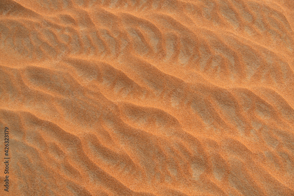 Desert. Sand dune. Sand texture. Wave pattern on the surface of the dune. Minimalism. Solid orange color palette. Grains of sand. Sandstone. No noise Desert. Sand dune. Sand texture. Wave pattern on the surface of the dune. Minimalism. Solid orange color palette. Grains of sand. Sandstone. No noise