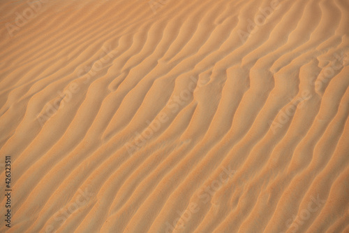 Desert. Sand dune. Sand texture. Wave pattern on the surface of the dune. Minimalism. Solid orange color palette. Grains of sand. Sandstone. No noise © Ekaterina
