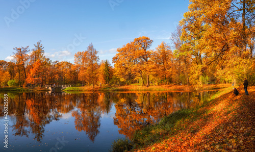 Sunny autumn public park with golden trees over a pond and people walking around. Tsarskoe Selo.