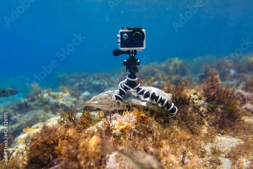 Using camera in waterproof box on a tripod to make photos and video from the bottom of the sea