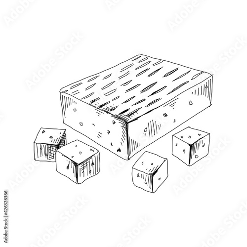 Tofu cheese pieces, retro hand drawn vector illustration.