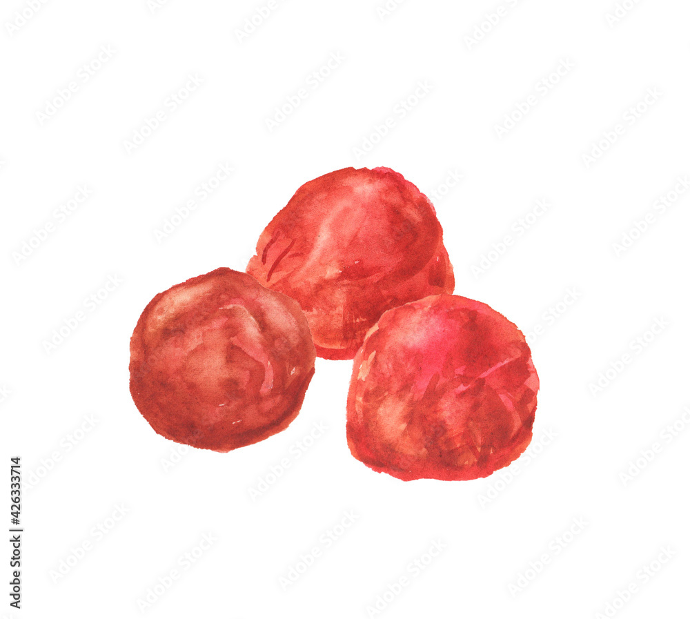 水彩で描いた梅干しのイラスト Stock Illustration Adobe Stock