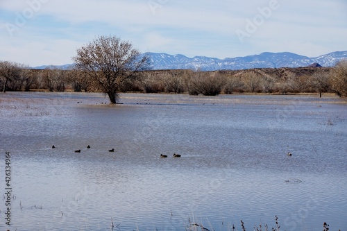 Bosque Del Apache National Wildlife Refuge in New Mexico