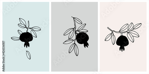 Decor printable art. Set of hand drawn vector illustrations of pomegranate fruits on branches