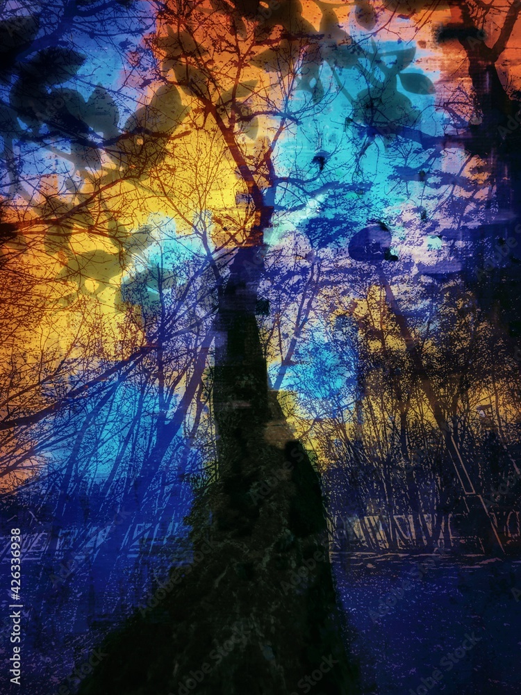 background with trees background with trees
