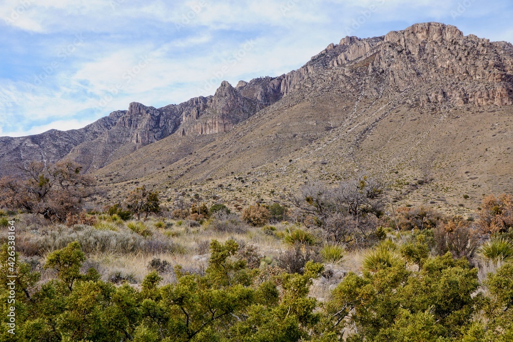 Guadalupe Mountains National Park in Texas USA