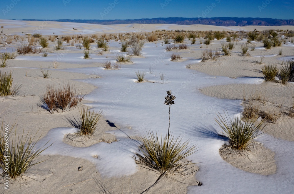 Snow on the ground in White Sands National Park in New Mexico USA