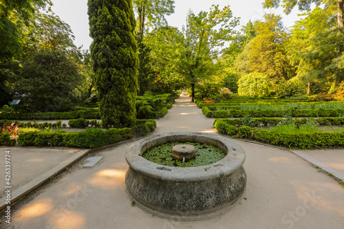 Botanic garden, Madrid