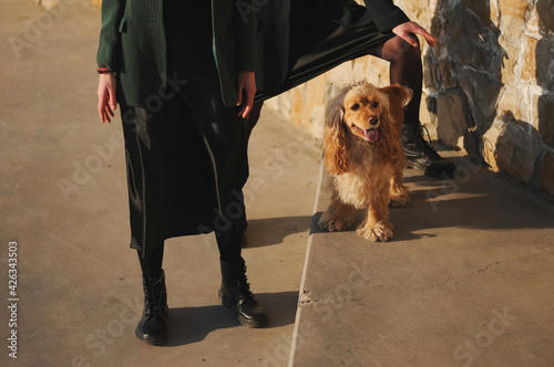 Two girls and english cocker spaniel dog.Portrait of dog outside (outdoors). Sunny day.
