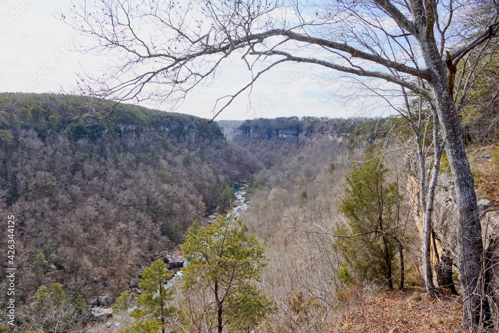 Little River Canyon National Preserve in Alabama USA Little River Canyon National Preserve in Alabama USA