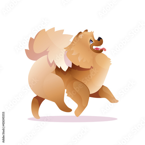 The cheerful spitz is running. Fluffy dog. Colored vector illustration