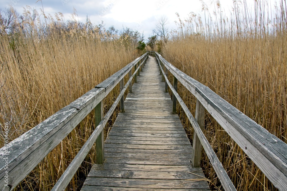 Boardwalk in Corolla on Outer Banks of North Carolina USA