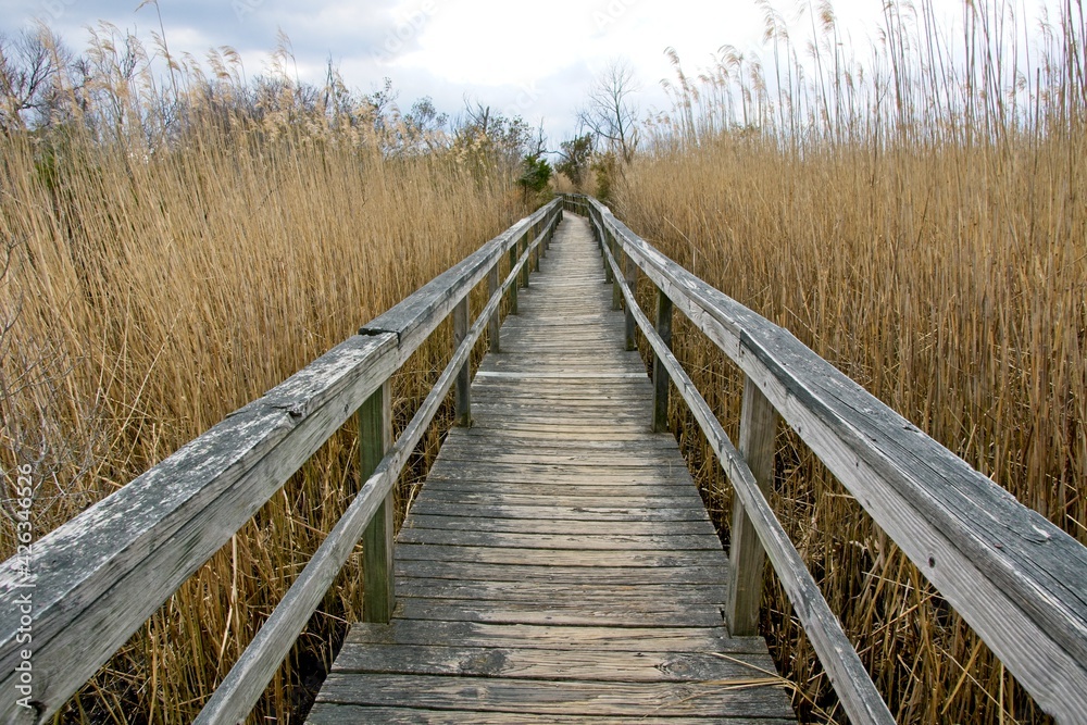 Boardwalk in Corolla on Outer Banks of North Carolina USA Boardwalk in Corolla on Outer Banks of North Carolina USA