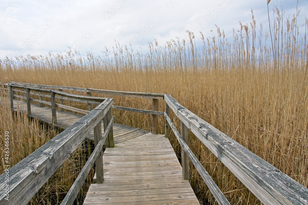 Fototapeta premium Boardwalk in Corolla on Outer Banks of North Carolina USA