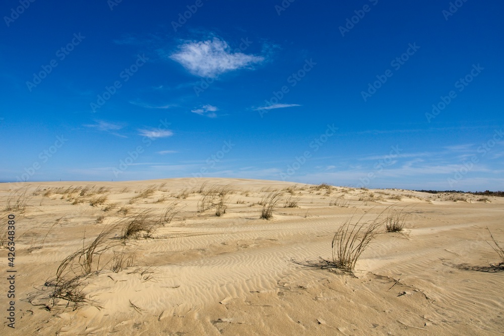 Jockey's Ridge State Park on Outer Banks in North Carolina USA Jockey's Ridge State Park on Outer Banks in North Carolina USA