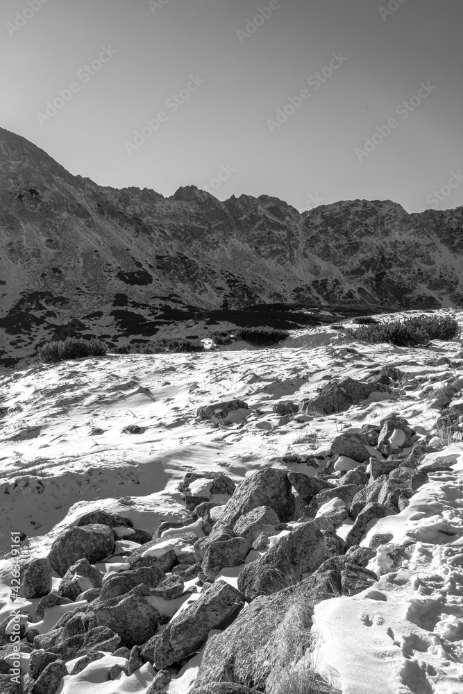 Vertical black and white view of winter in High Tatra Mountains, Poland. Sunny day in the valley. Cheerful atmosphere. Selective focus on the rocks, blurred background.