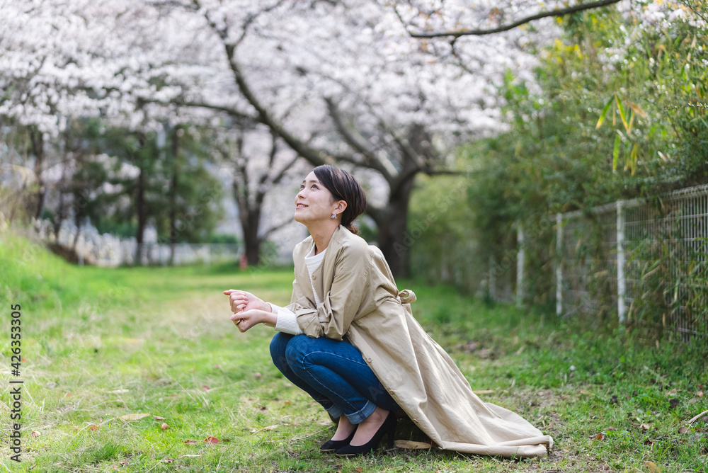 Fototapeta premium 桜と女性