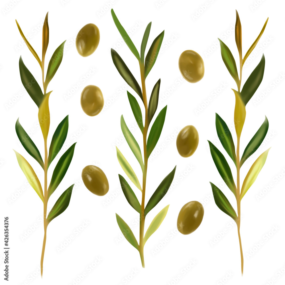 set of olives and olive branches illustration set of olives and olive branches illustration