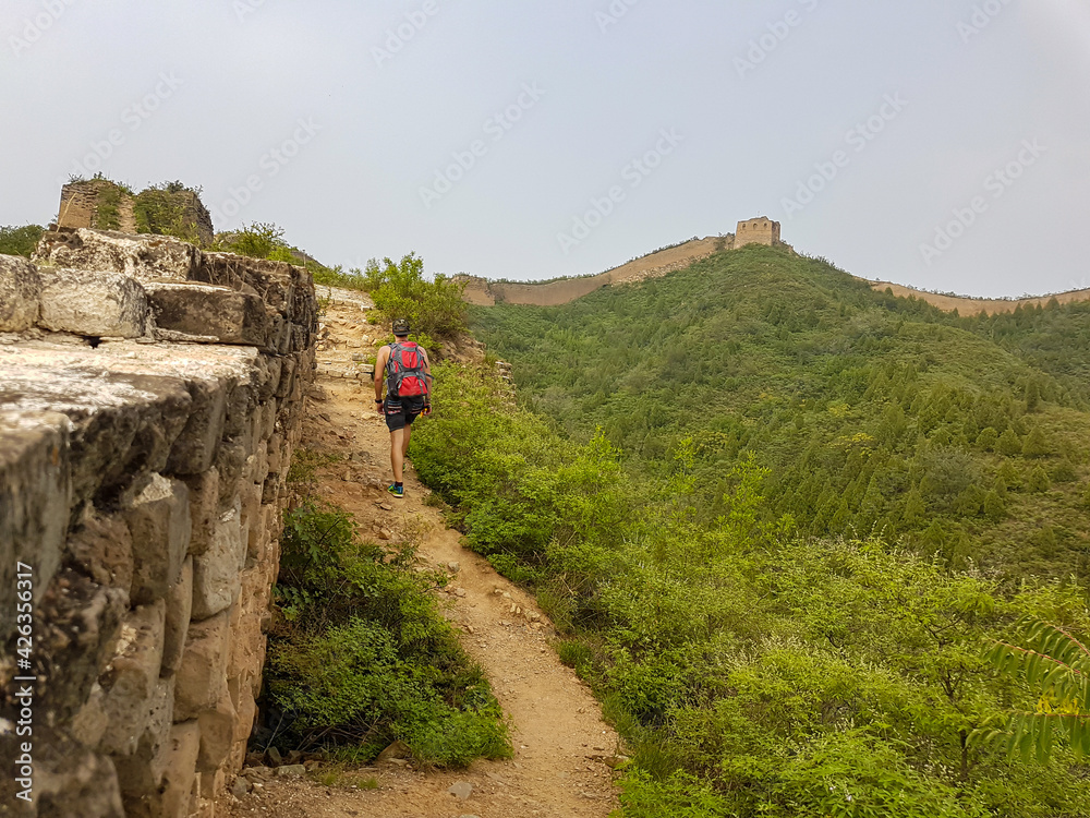 A man with hiking backpack walking around a unrenewed Gubeikou part of Great Wall of China. The wall is spreading on tops of mountains. Dense forest around it. World wonder. Tradition and history