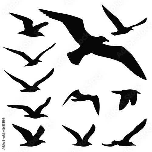 silhouettes of birds set. seagulls in flight isolated. Migration of birds. Vector stock illustration