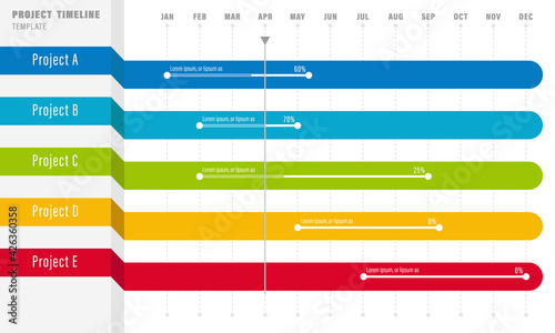 Project Timeline Infographics, 12 months timeframe and milestones
