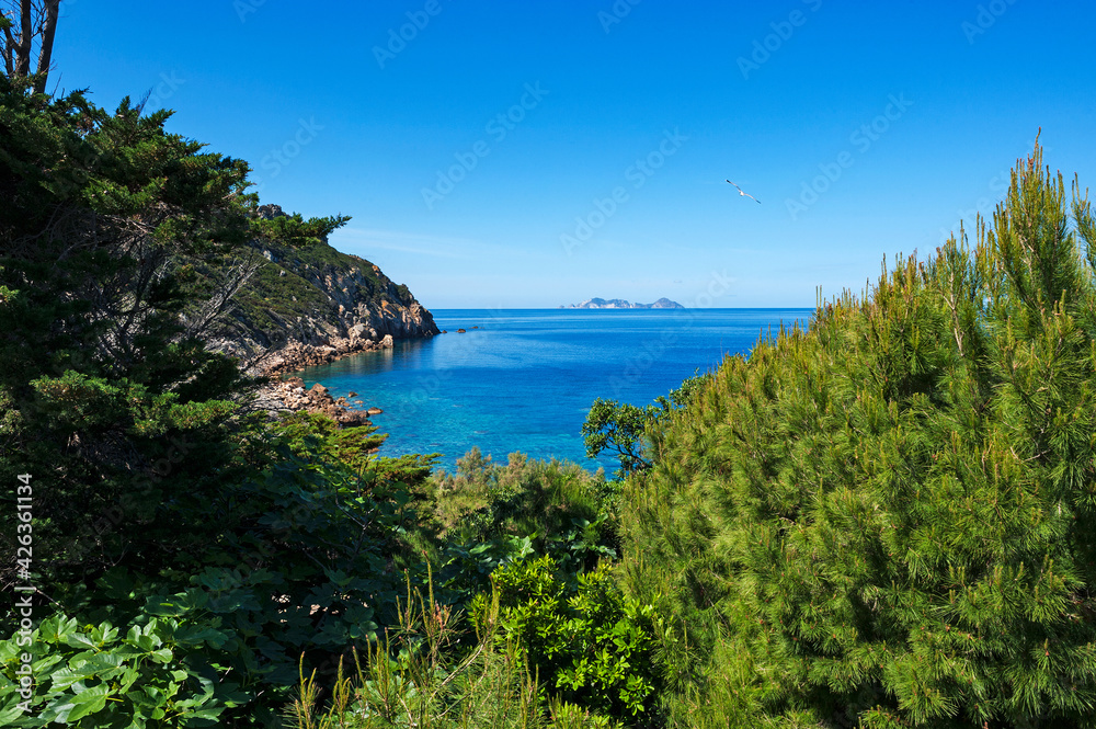 National Park of Circeo, Italy, Europe, a stretch of coast of the island seen from the lighthouse between Capo Negro and Capo Caccia, in the background the island of Palmarola
