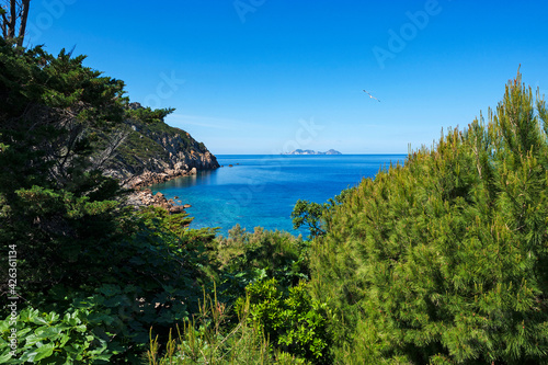 National Park of Circeo, Italy, Europe, a stretch of coast of the island seen from the lighthouse between Capo Negro and Capo Caccia, in the background the island of Palmarola