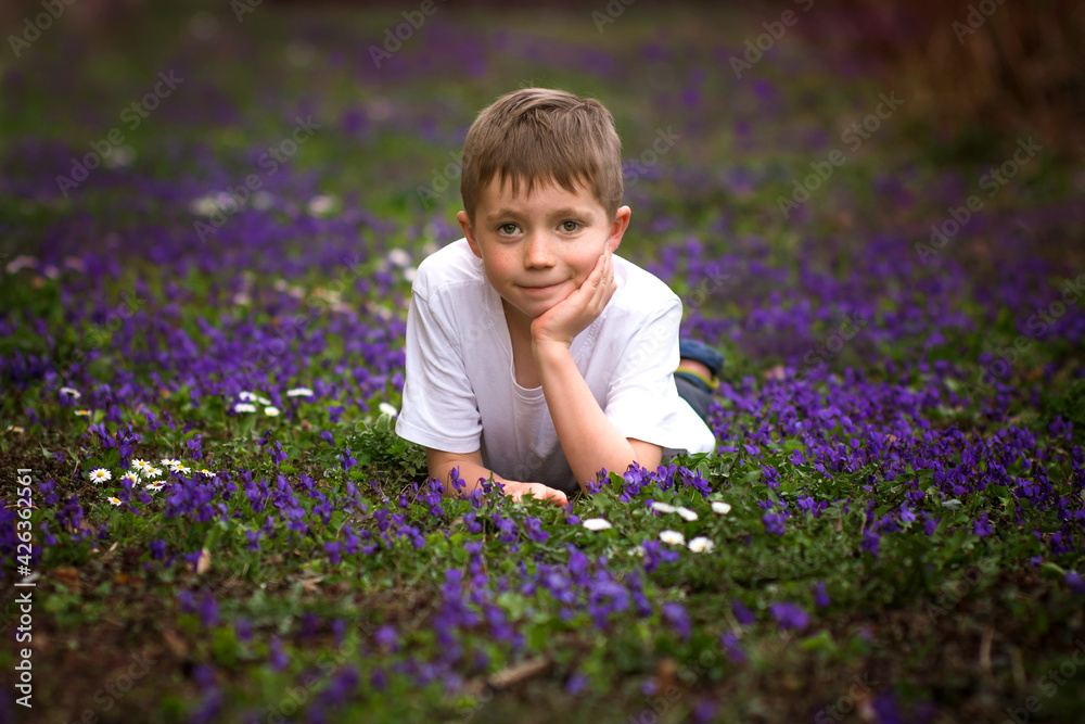 Small boy lying on lawn with violet flowers in park. Kid portrait and spring blossom. Small boy lying on lawn with violet flowers in park. Kid portrait and spring blossom.