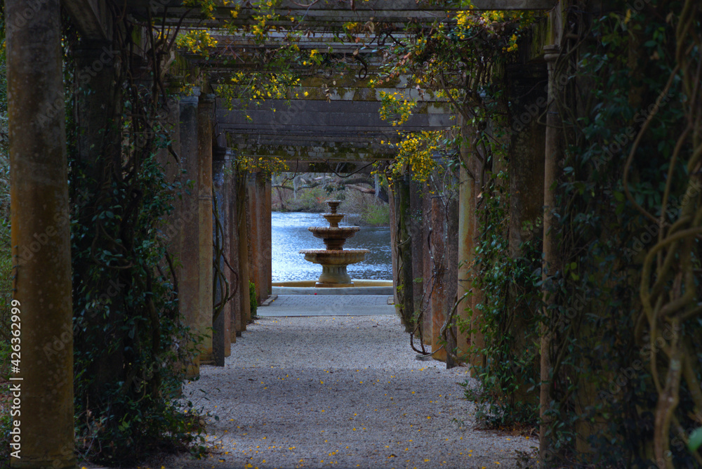 Fountain through a flower tunnel Fountain through a flower tunnel