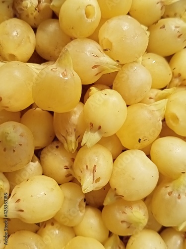 Mahua madhua longifolia