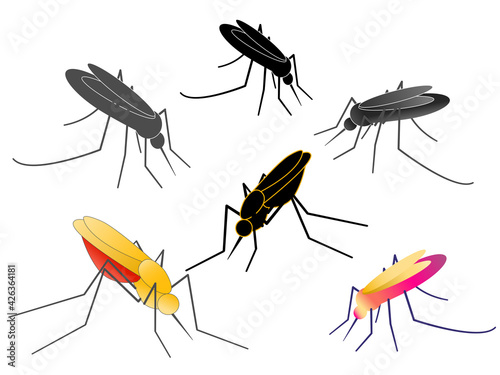Anopheles mosquitoes  © Danara 