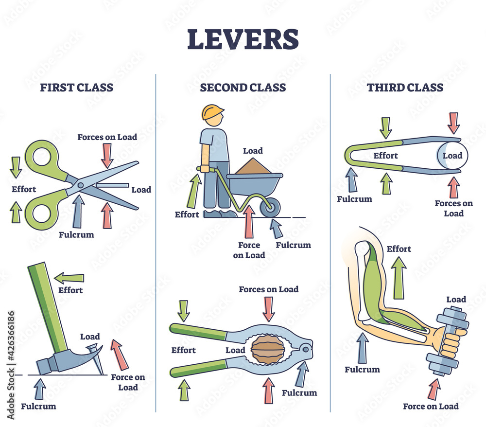 Hammer Lever Diagram at Ellen Kirkpatrick blog