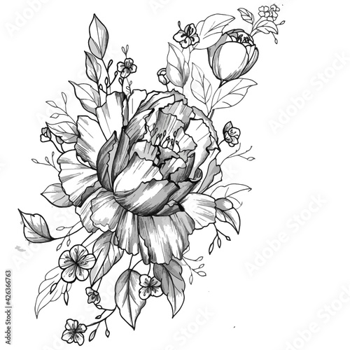 hand drawn peony