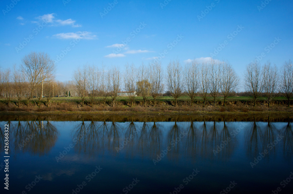 lake in the forest